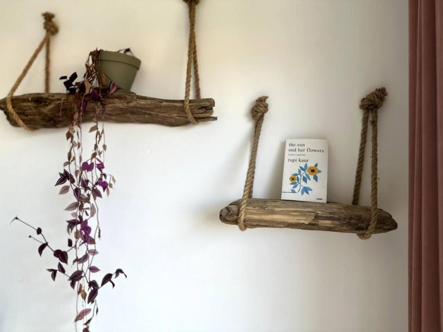Appartement Cosy Calao - Parking Ferme Gratuit Perpignano Esterno foto