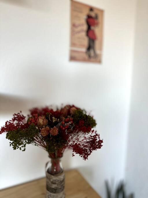 Appartement Cosy Calao - Parking Ferme Gratuit Perpignano Esterno foto