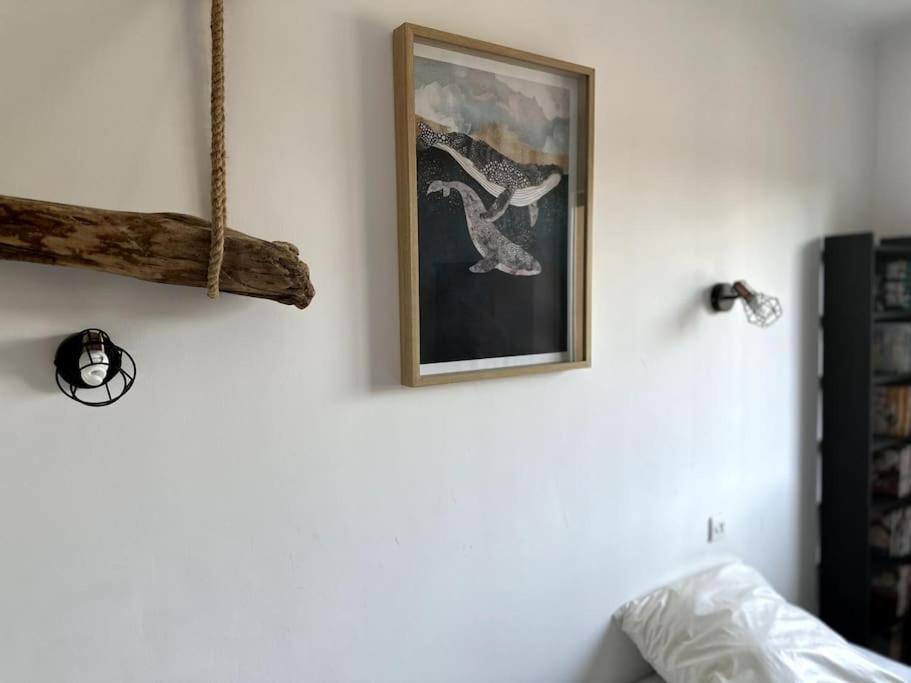 Appartement Cosy Calao - Parking Ferme Gratuit Perpignano Esterno foto