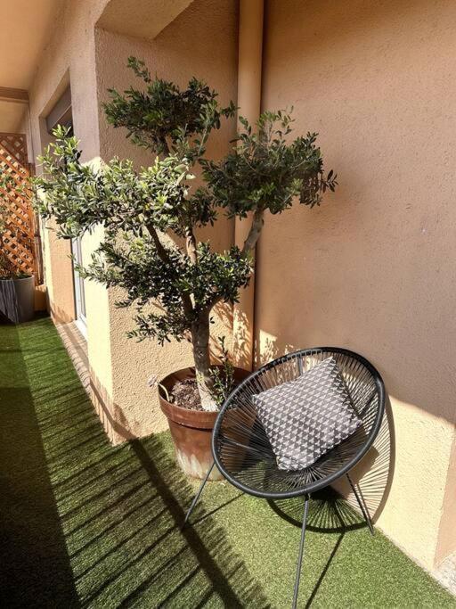 Appartement Cosy Calao - Parking Ferme Gratuit Perpignano Esterno foto